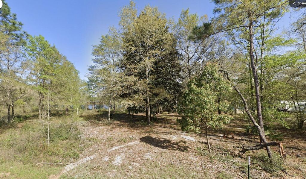 Lot 30 E Michaelang Lo Road, Defuniak Springs, FL 32433