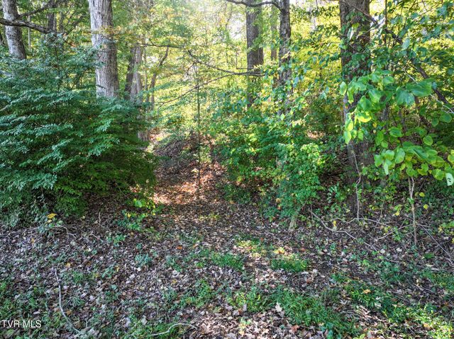 15490 Kingsport Highway, Chuckey, TN 37641