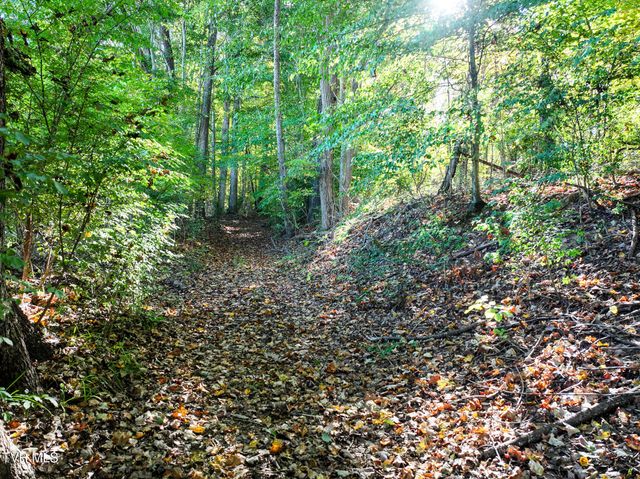 15490 Kingsport Highway, Chuckey, TN 37641