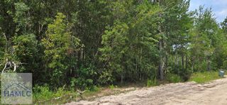7.56 Acr Maple Drive, Ludowici, GA 31316