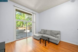 460 N Civic Dr 301, Walnut Creek, CA 94596