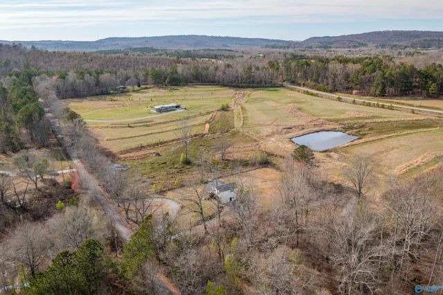 6692 Wilcoxson Road, Altoona, AL 35952