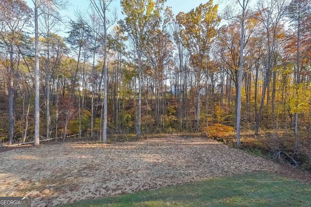 335 Grey Swan Way, Dawsonville, GA 30534