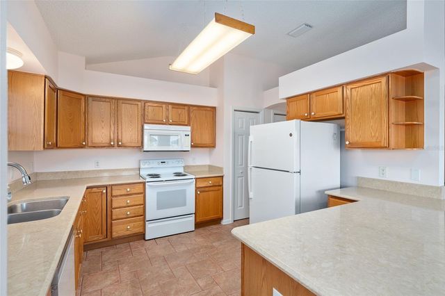 1709 MADERO DRIVE, The Villages, FL 32159