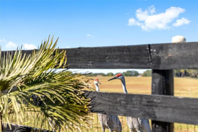 1709 MADERO DRIVE, The Villages, FL 32159