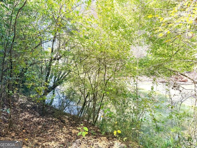 0 Towaliga South Road, Jackson, GA 30233