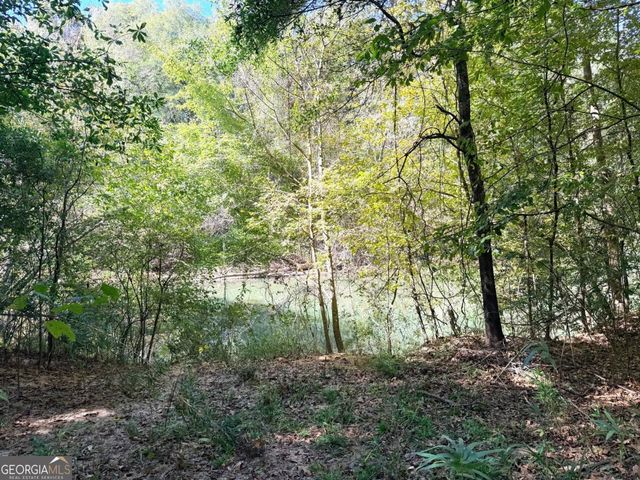 0 Towaliga South Road, Jackson, GA 30233