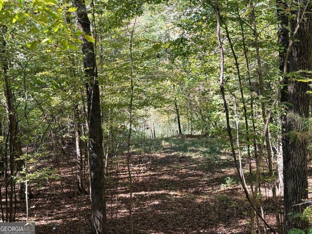 0 Towaliga South Road, Jackson, GA 30233