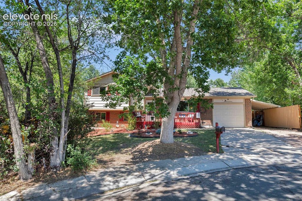 4874 Splitrail Place, Colorado Springs, CO 80917 — photo 4
