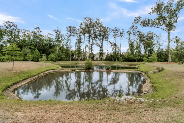 606 Bramblewood Court, Charleston, SC 29414