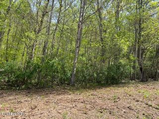 Lot 2 Cabin Rd, Speedwell, TN 37870