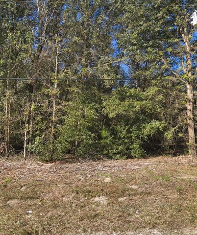 00 Maltas Ave LOT 34, Interlachen, FL 32148