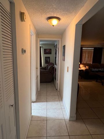 12520 MONDRAGON DRIVE, Tampa, FL 33625