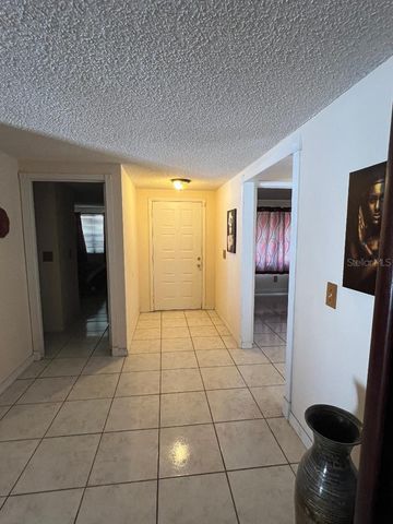 12520 MONDRAGON DRIVE, Tampa, FL 33625