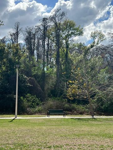 12520 MONDRAGON DRIVE, Tampa, FL 33625