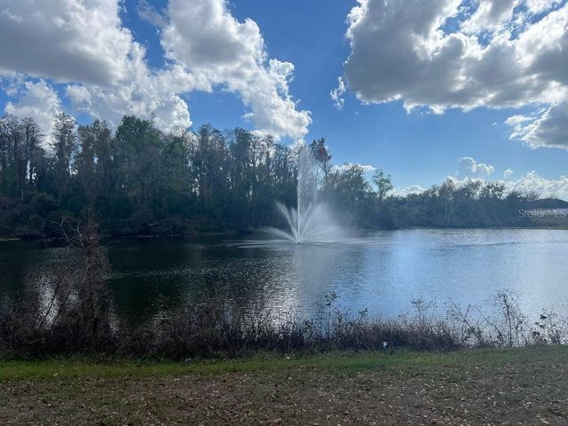 12520 MONDRAGON DRIVE, Tampa, FL 33625