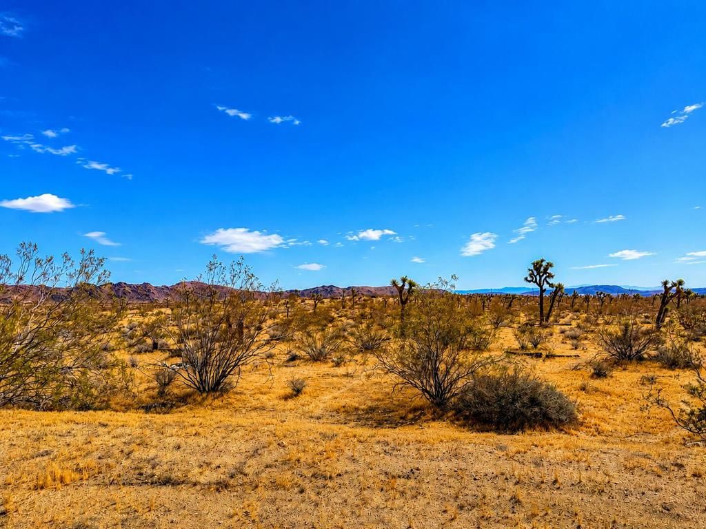 0 Rockwood Road, Joshua Tree, CA 92252