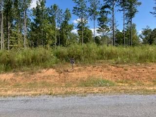 LT 129 Vista Creek Drive, Ellijay, GA 30540