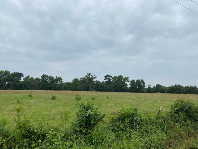 981 CR 3987, Winnsboro, TX 75494