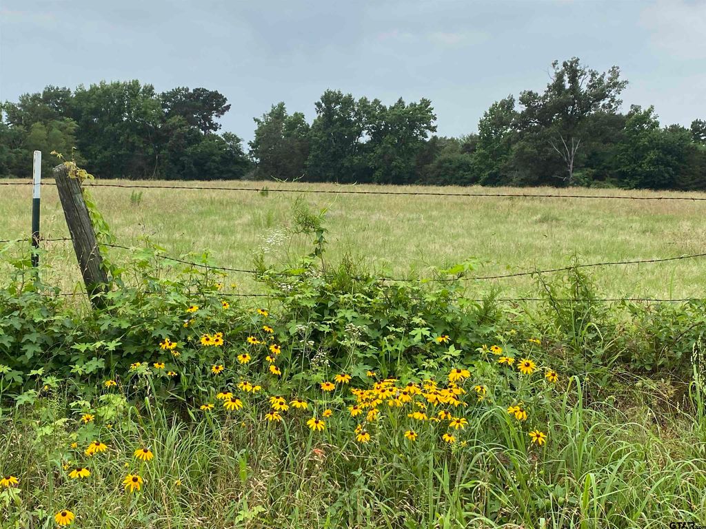 981 CR 3987, Winnsboro, TX 75494
