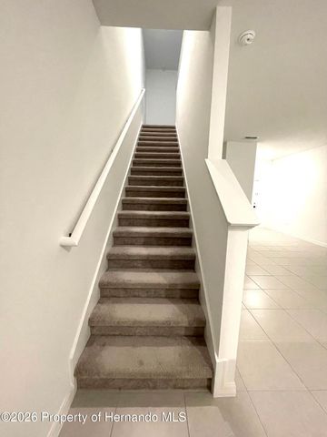 36221 Risa Michele Street, Zephyrhills, FL 33541