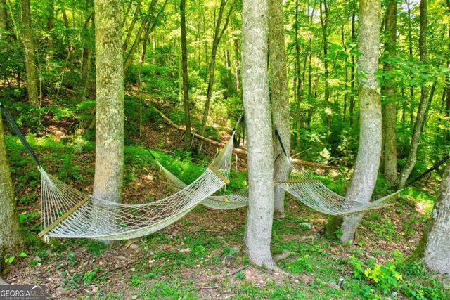 50 Trails End Court, Ellijay, GA 30536