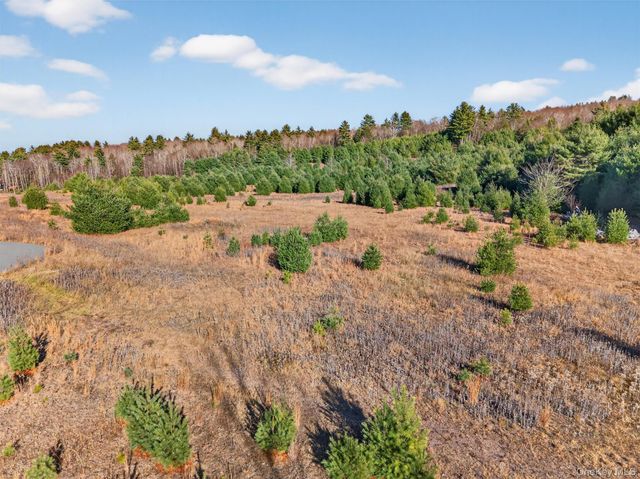 Marsh Road, Fallsburg, NY 12733