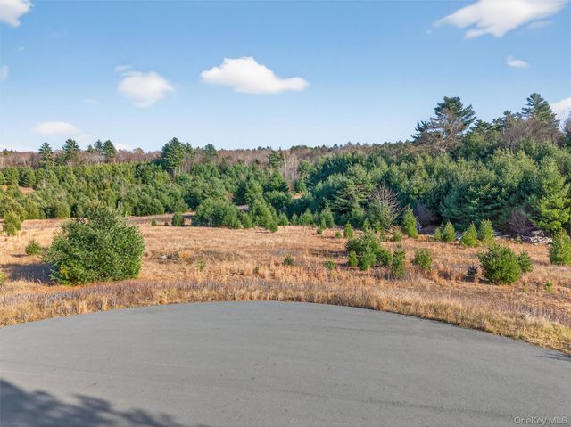 Marsh Road, Fallsburg, NY 12733