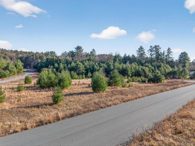 Marsh Road, Fallsburg, NY 12733