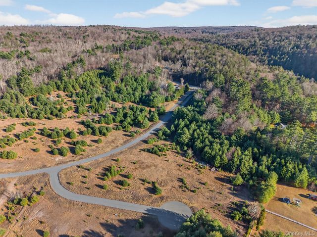 Marsh Road, Fallsburg, NY 12733