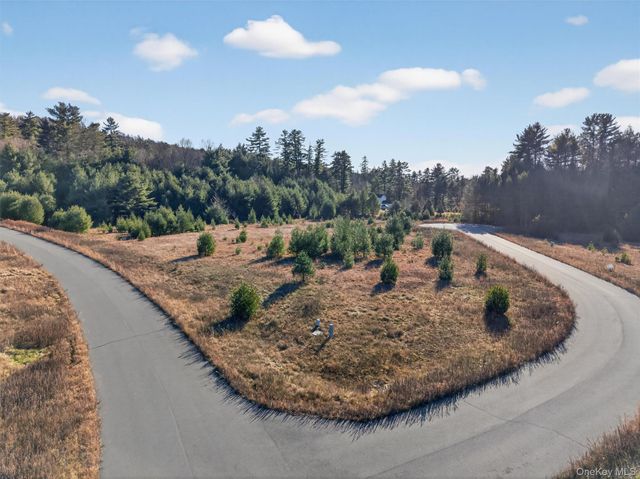 Marsh Road, Fallsburg, NY 12733