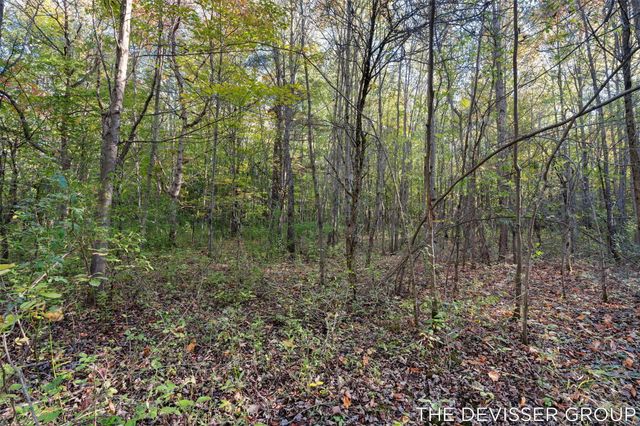 VL 34th, Allegan, MI 49010