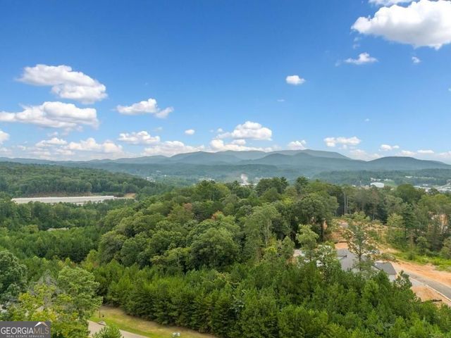 179 Summit View Lane, Ellijay, GA 30540