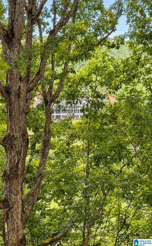 2618 LINGER LANE, Hoover, AL 35226