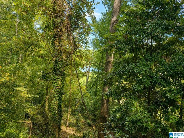 2618 LINGER LANE, Hoover, AL 35226