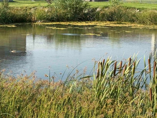 1583 Lagoon Lane, Twin Falls, ID 83301