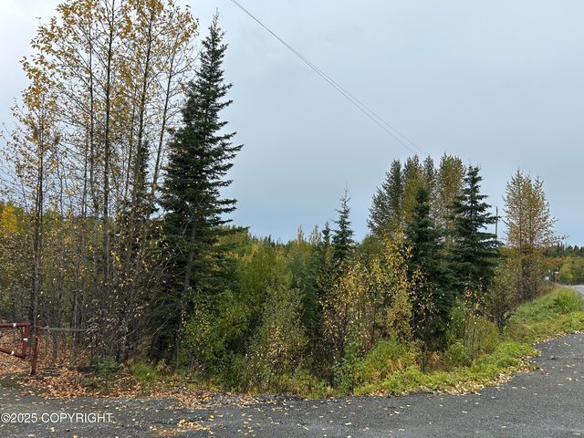 48425 Sterling Highway, Soldotna, AK 99669