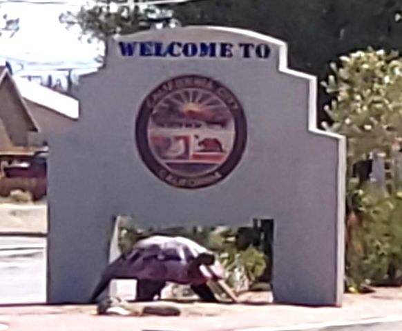 0 Underwood Avenue, California City, CA 93505