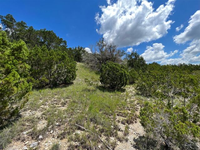 2600 Whitewater DR, Bertram, TX 78605