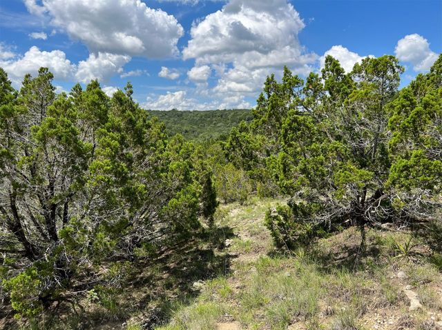 2600 Whitewater DR, Bertram, TX 78605