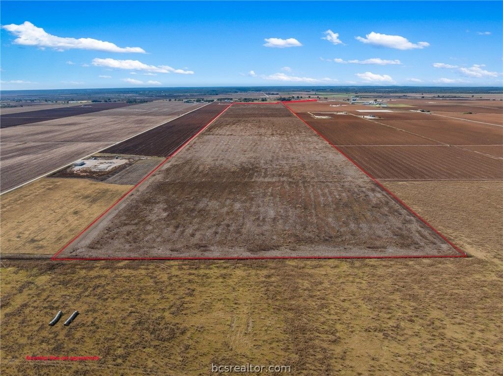 173.62 Acres FM 50, Hearne, TX 77859 — photo 4