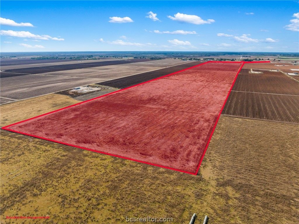 173.62 Acres FM 50, Hearne, TX 77859 — photo 5