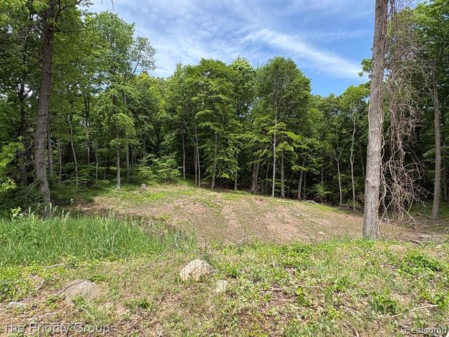 6248 E Crest Forest Court, Clarkston, MI 48348