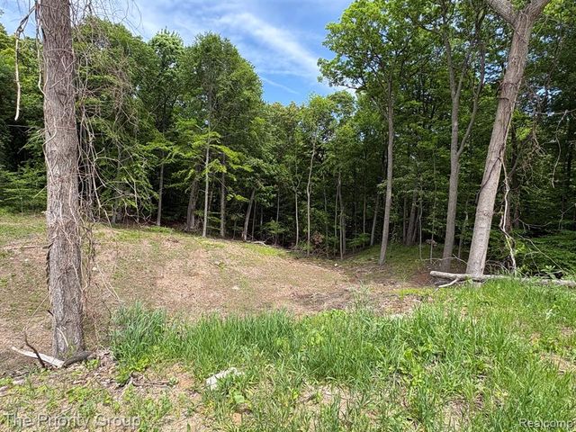 6248 E Crest Forest Court, Clarkston, MI 48348