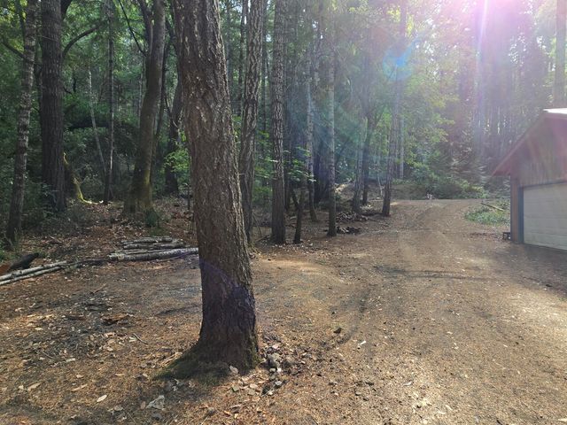 1000 Rancho Sequoia Drive, Alderpoint, CA 95511