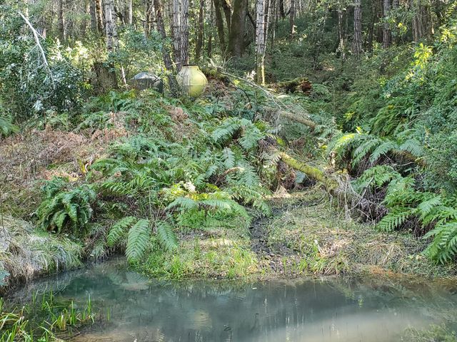 1000 Rancho Sequoia Drive, Alderpoint, CA 95511