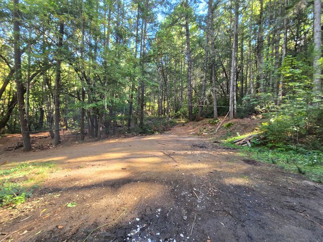 1000 Rancho Sequoia Drive, Alderpoint, CA 95511