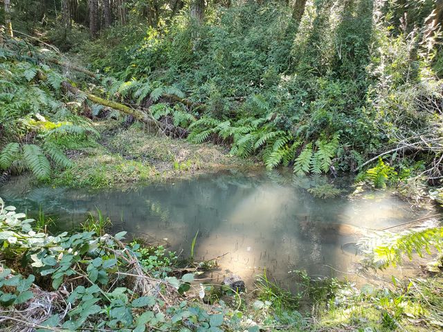 1000 Rancho Sequoia Drive, Alderpoint, CA 95511