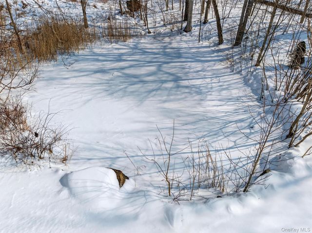 8 Cardinal Court, Tuxedo Park, NY 10987