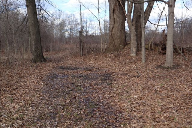 5580 Charleston Road, Newton Falls, OH 44444